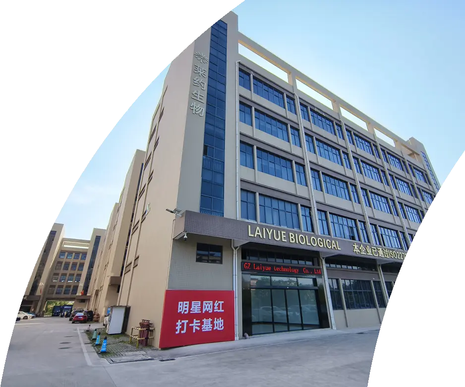 On-site factory visit in Guangzhou to meet our team, review documents, and inspect the production flow at Laeyo.